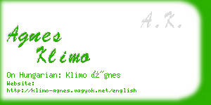 agnes klimo business card